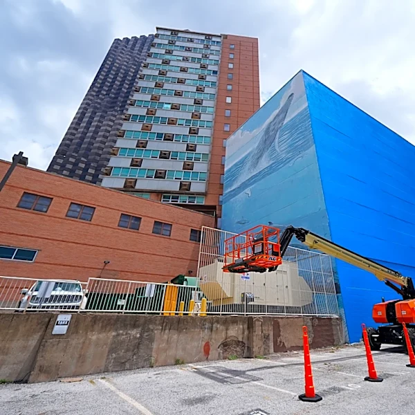 Artist suing FIFA over destruction of Dallas whale mural before World Cup