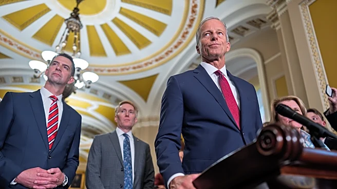 Republicans consider next steps after scrapping of $1.8 billion fund for Trump allies
