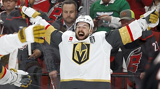 Tomas Hertl is the hero for the Golden Knights just in time in the Stanley Cup Final