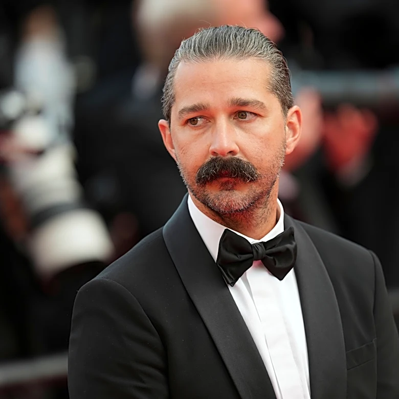 Shia LaBeouf gets probation after pleading guilty to punching bargoers during Mardi Gras