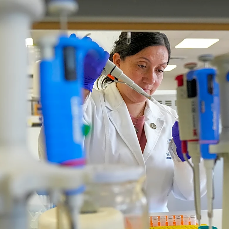 Tools to fight hantavirus show promise despite limited funding. Now researchers hope to continue