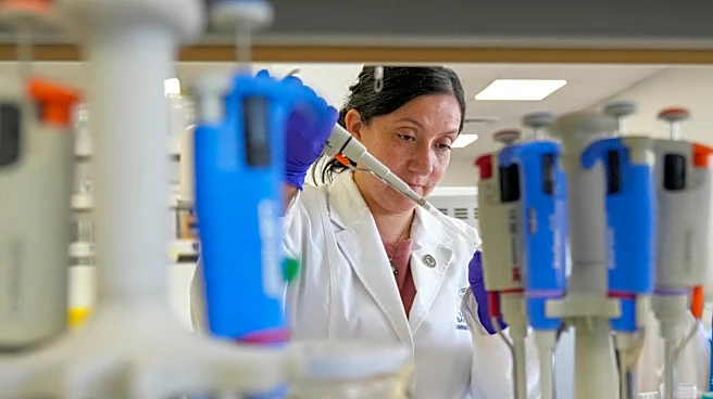 Tools to fight hantavirus show promise despite limited funding. Now researchers hope to continue