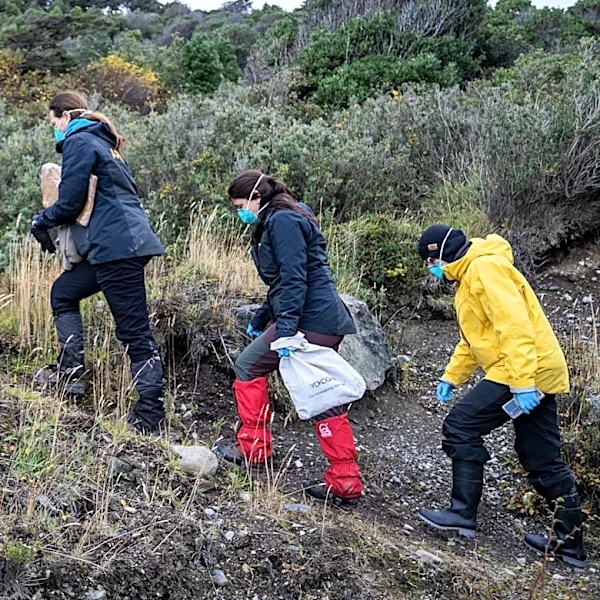 Argentina expands hantavirus probe, sending teams to trap and test rats in Mendoza