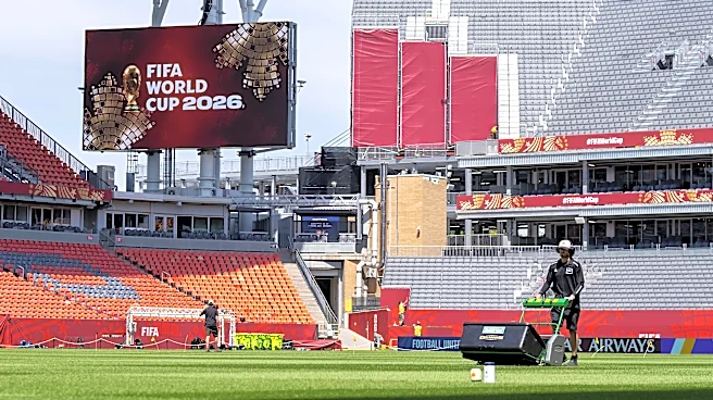 The World Cup pitches are the result of years of engineering to find just the right grass