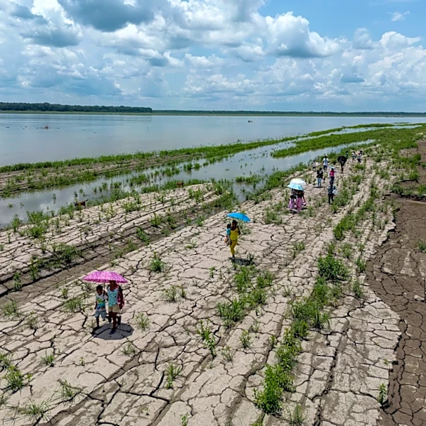 Colombia's presidential runoff could impact the future of the Amazon rainforest and fossil fuels