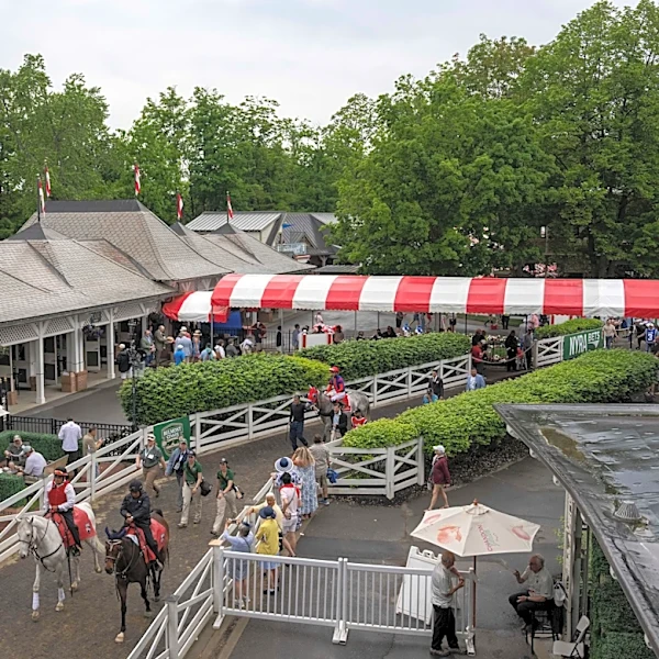 Renegade remains the favorite for the 158th running of the Belmont Stakes