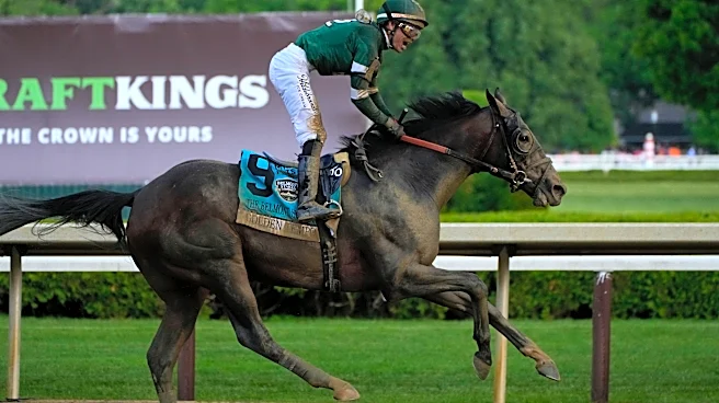 Golden Tempo wins the 158th running of the Belmont Stakes after winning the Kentucky Derby