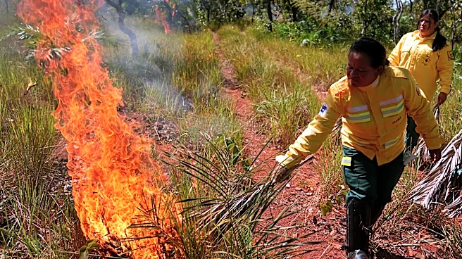 In Brazil’s Cerrado region, Indigenous fire practices reshape wildfire strategy