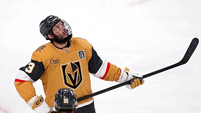 Golden Knights' Brayden McNabb earns raves after playing with 2 dozen stitches from puck to face