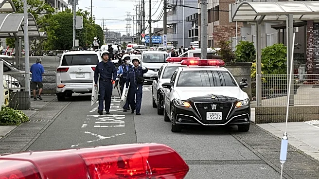 Japanese city captures bear that caused fear and school closures