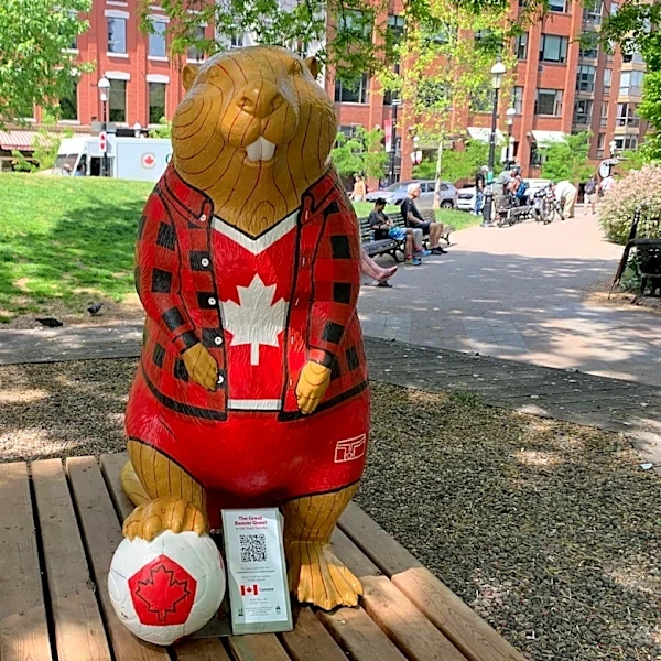 Join the beaver hunt: Toronto neighborhood offers unique World Cup-themed scavenger hunt