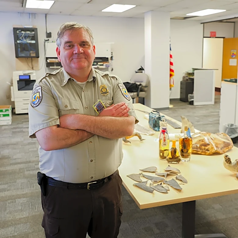 ‘Hey, this box stinks’: the weird work of intercepting trafficked wildlife in Alaska