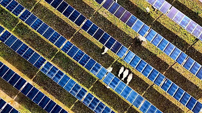 Solar power hits new milestones in the US even as Trump boosts coal over clean energy