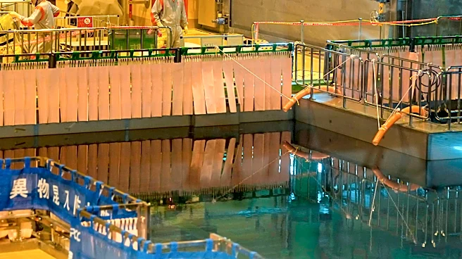 Reactor reboot at world's largest nuclear plant highlights flaws in Japan's radioactive waste plans