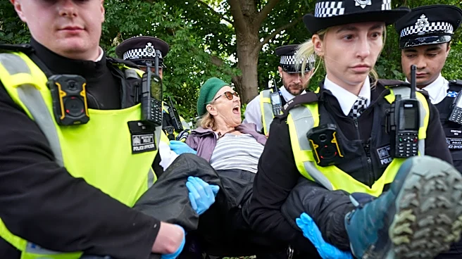 London judge sentences Palestine Action activists for raid at Israeli defense factory
