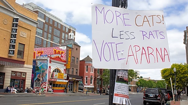 AP Decision Notes: What to expect in the Washington, DC, primary