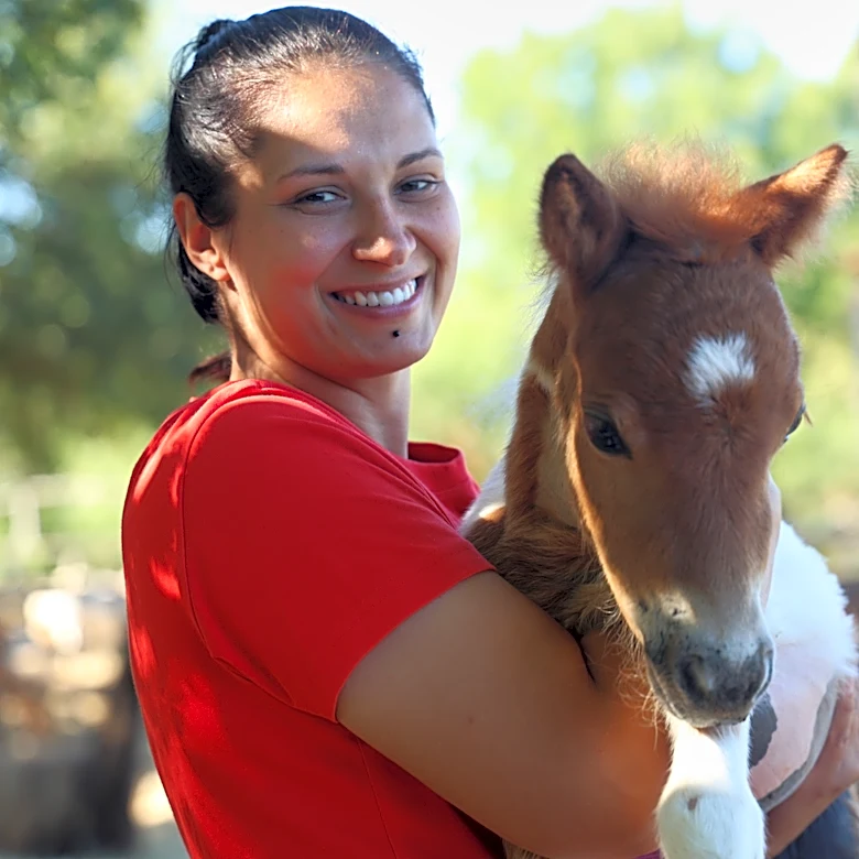 A month-old pony moves to a 4th-floor apartment in Croatia. Neighbors don't mind