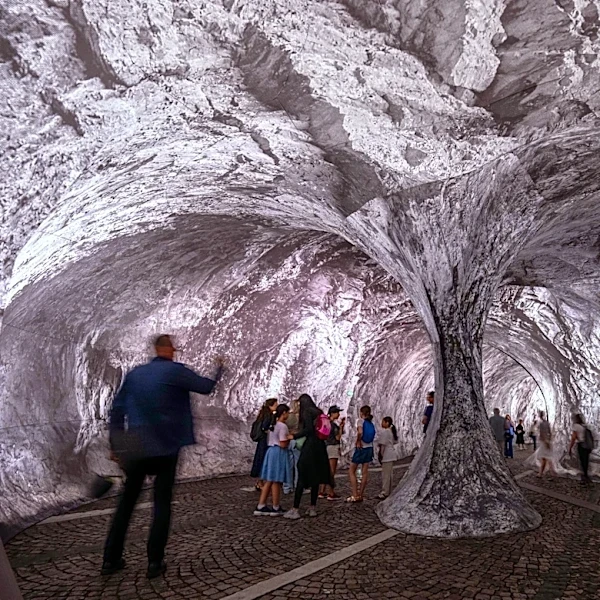 Monumental cave art on Paris' oldest bridge finally opens, as the public steps and sniffs inside