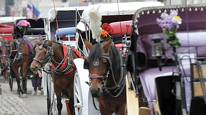 Teenager dies after being thrown from horse-drawn carriage in NYC's Central Park
