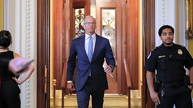 Friction between Trump and Republican senators is growing before the pivotal midterm elections