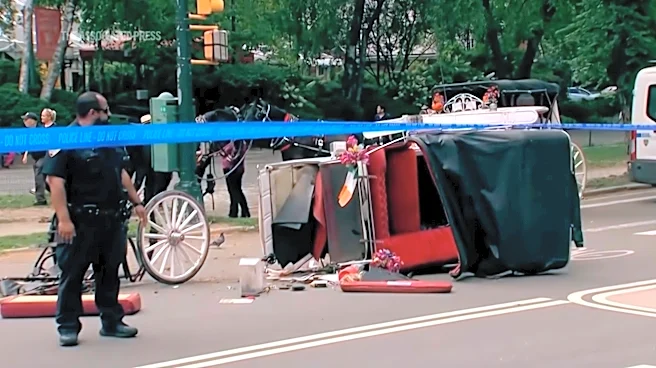 Horse-drawn carriage rides in New York on hold after teen tourist's death