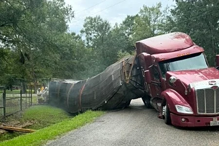 Millions of honeybees escape into a rural Texas neighborhood after a semitrailer crash