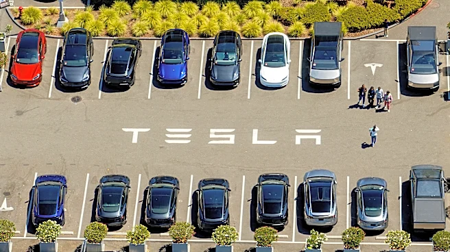 Top auto regulator opens special probe after a Tesla slams into a Texas home, killing a 76-year-old