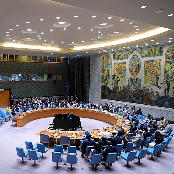 UN adopts resolution to ensure perpetrators of crimes against peacekeepers face justice
