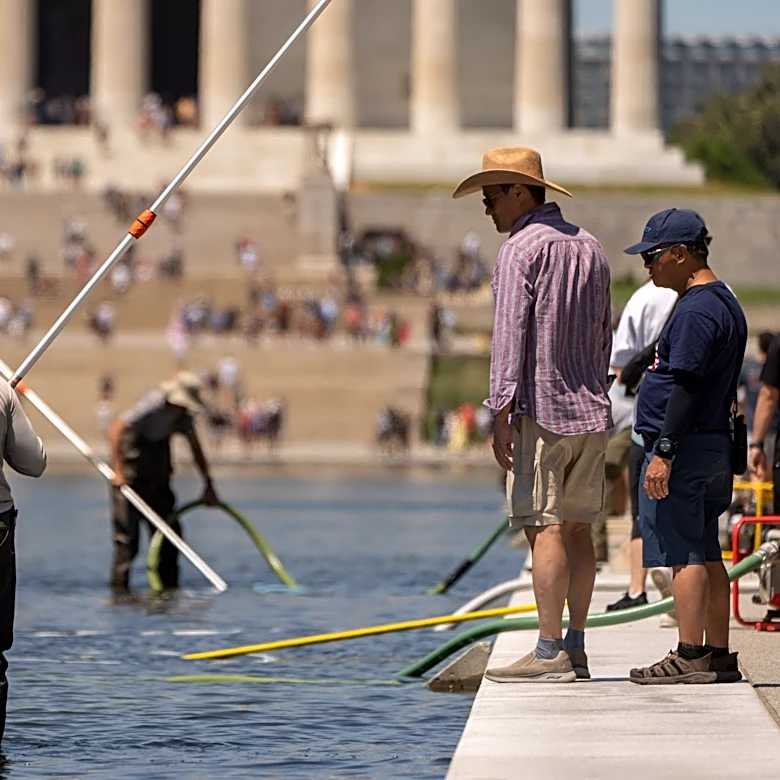 Troubled Reflecting Pool faces fresh scrutiny over vandalism claims and duck deaths