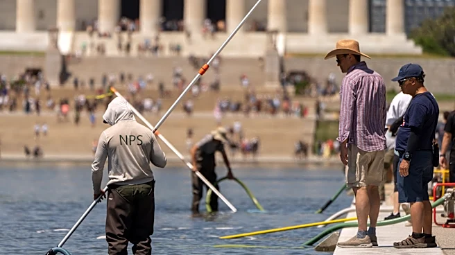 Troubled Reflecting Pool faces fresh scrutiny over vandalism claims and duck deaths