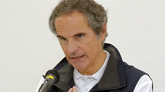 UN nuclear agency boss says inspectors will visit Iran's nuclear sites under Iran-US interim deal