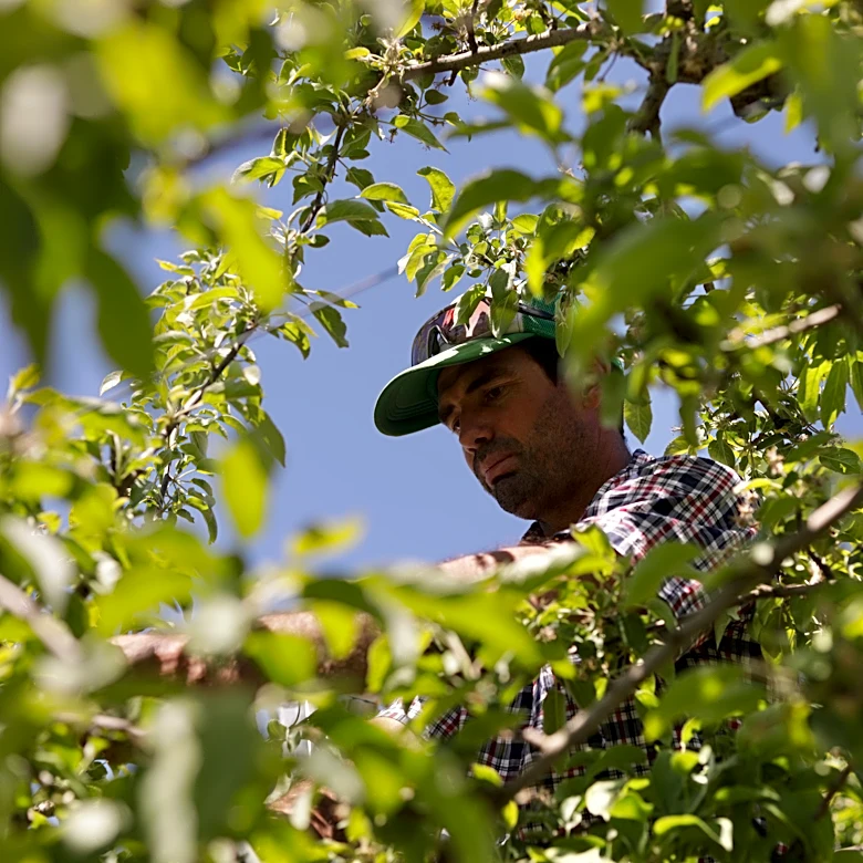 Vermont is the first state to ban paraquat, a weed killer linked to Parkinson's disease