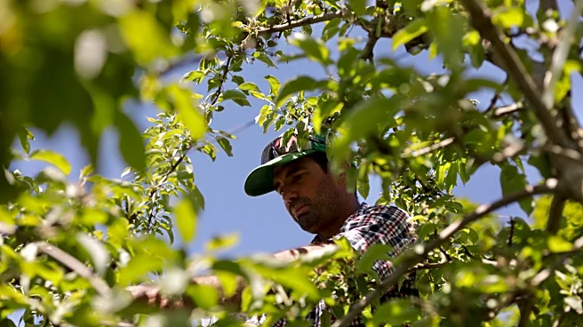 Vermont is the first state to ban paraquat, a weed killer linked to Parkinson's disease