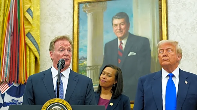 NFL releases dates and details for the 2027 NFL draft to be held on National Mall in Washington