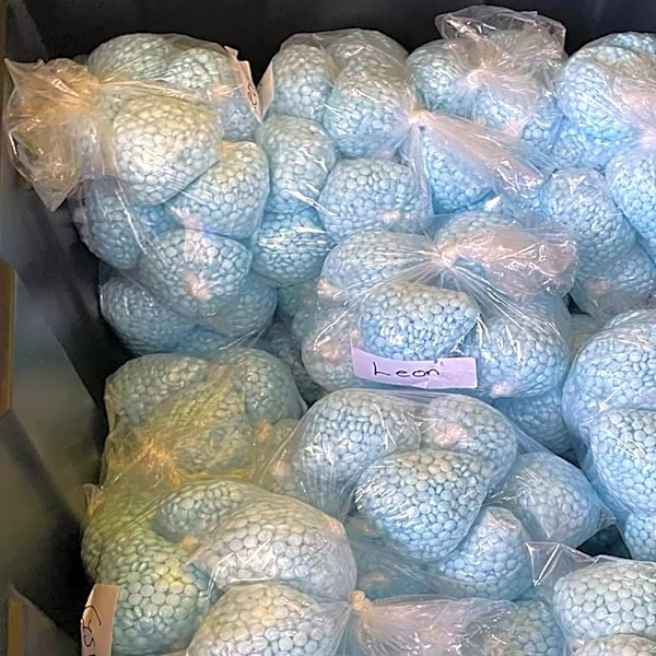 DEA asks watchdog to investigate claims that agents permitted fentanyl to hit the streets