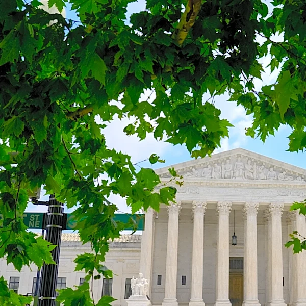 Royalties. Teaching gigs. A concert in Puerto Rico. Financial forms offer view inside Supreme Court