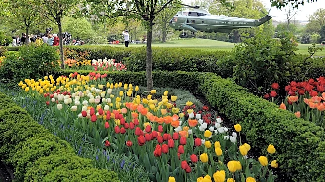 How the White House Rose Garden and its plantings have changed over the past century