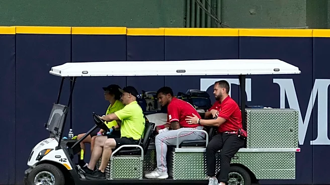 Reds OF Dane Myers goes on IL with bruised left shoulder