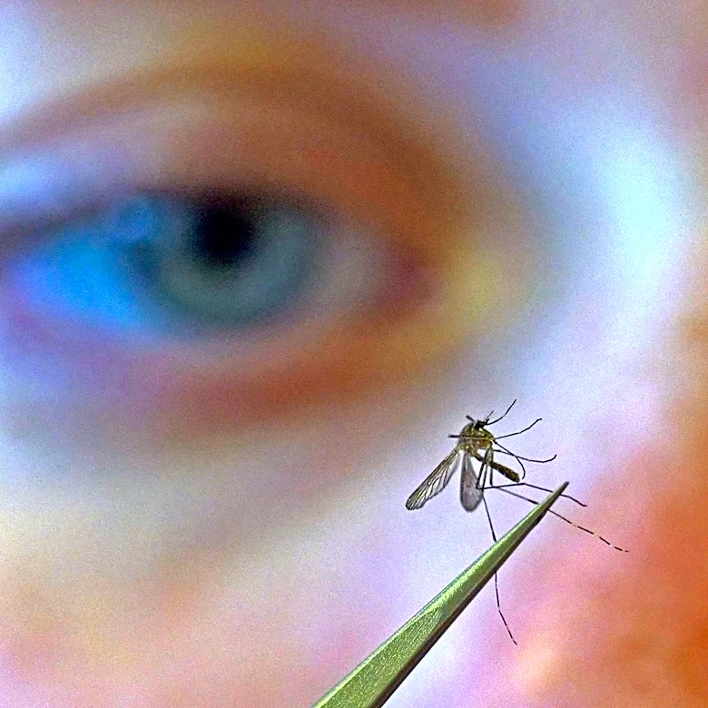 CDC urges people to prevent mosquito bites as West Nile virus season hits a strong, early start