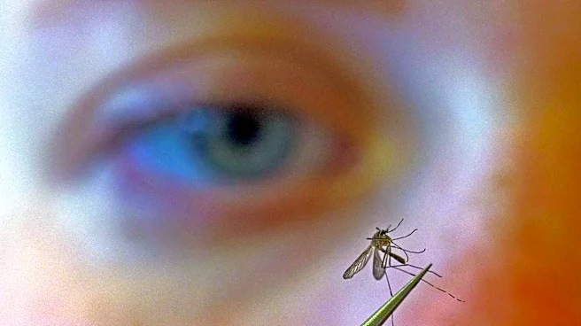CDC urges people to prevent mosquito bites as West Nile virus season hits a strong, early start
