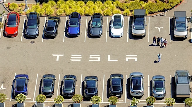 Tesla sales rose last quarter in a possible sign the worst of the Musk backlash is behind it