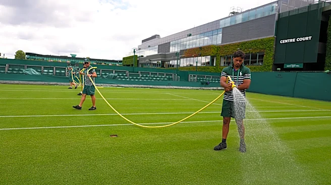 Wimbledon kept its courts lush green as other London lawns browned in record heat
