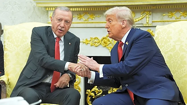 Trump's ties to Erdogan sold him on this year's NATO summit. Turkey may win big in other ways