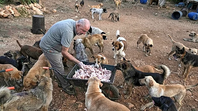 An animal rescuer cares for pets and livestock stranded by war in southern Lebanon