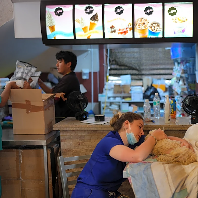 Venezuelan earthquake survivors search for missing pets at 'Hospital McDonald's'