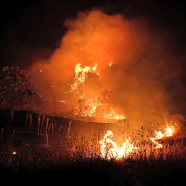 A fast-moving wildfire near Greece's Thessaloniki sparks evacuations as smoke blankets suburbs