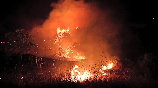 A fast-moving wildfire near Greece's Thessaloniki sparks evacuations as smoke blankets suburbs