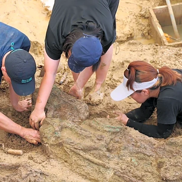 Gold rings around 2,000 years old found during dig at Thailand archaeological site