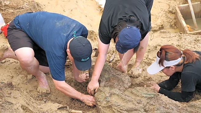 Gold rings around 2,000 years old found during dig at Thailand archaeological site