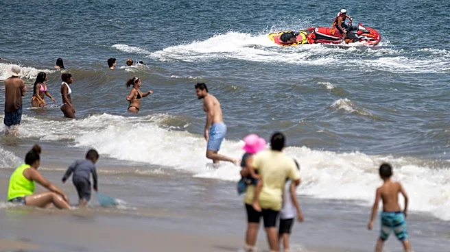 Swimmer bitten on the foot at New York beach in a suspected shark attack
